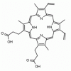 Image of a Protoporphyrin IX Structure