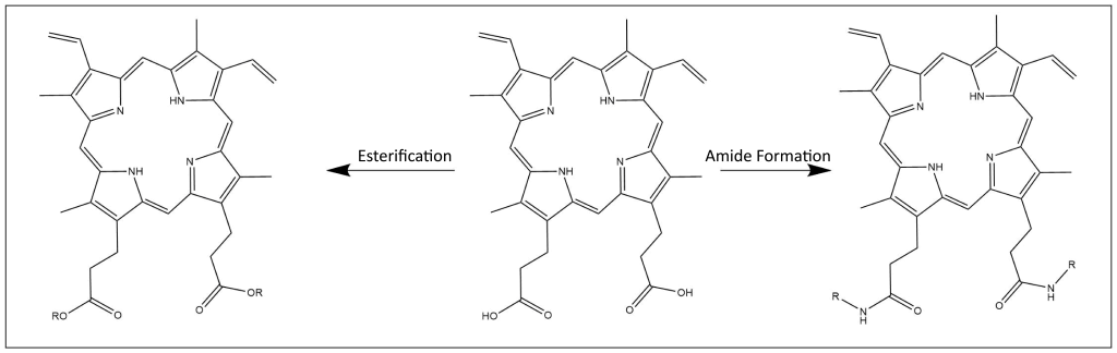 Molecular structure formation showing esterification and amide formation using protoporphyrin IX.