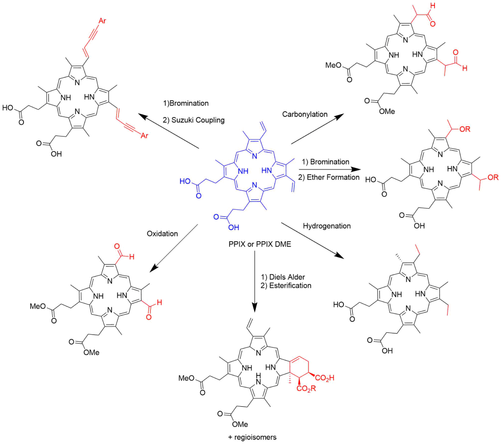 Illustration of molecular structures starting with protoporphyrin IX and then showing the various ways the vinyl groups can be modified through bromination, suzuki coupling, carbonylation, bromination, ether formation, hydrogenation, diels alder, esterification, and oxidation.