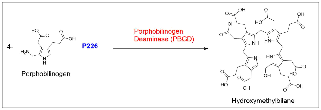 Chemical reaction showing how four molecules of porphobilinogen are subsequently used to form the unstable hydroxymethylbilane (HMB) by porphobilinogen deaminase (PBGD)