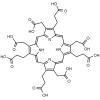 Black and white molecular structure of Uroporphyrin III (CAS# 1976-85-8) from Frontier Specialty Chemicals.