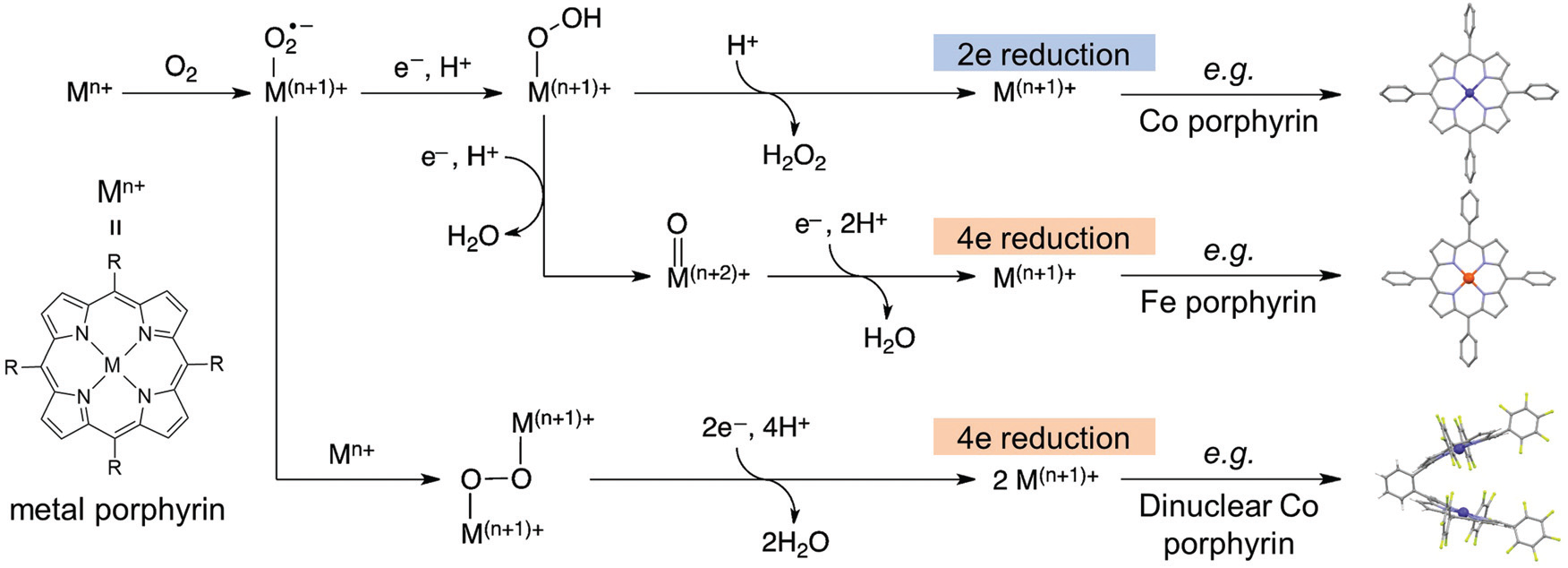 Scheme 2 shows Possible mechanistic pathways for porphyrin catalyzed ORR, taken from reference 4.