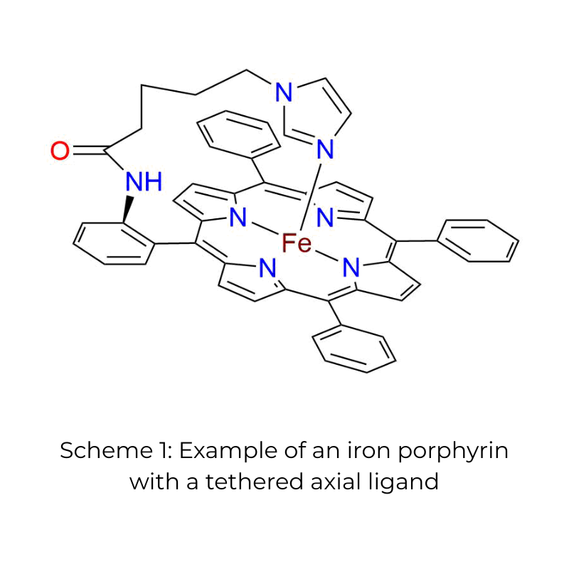Scheme 1 is an example of an iron porphyrin with a tethered axial ligand.