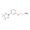 Molecular structure for PEG 2-(3-(4,4,5,5-Tetramethyl-1,3,2-dioxaborolan-2-yl)phenoxy)ethan-1-amine, also known as 2-(3-(Pinacol boronate)phenoxy)ethylamine (CAS 2684271-71-2), from Frontier Specialty Chemicals.