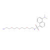 Molecular structure for N-(2-(2-(2-(2-Aminoethoxy)ethoxy)ethoxy)ethyl)-5-(dimethylamino)naphthalene-1-sulfonamide (CAS 914311-67-4), also known as Dansyl-PEG4-amine, from Frontier Specialty Chemicals.