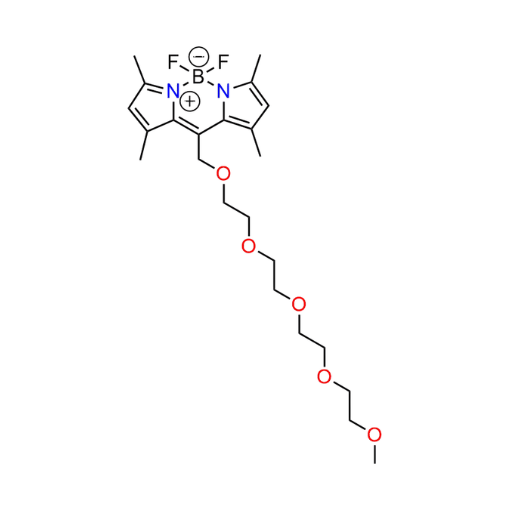 BODIPY PEGs