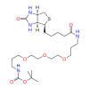 Molecular structure for PEG N-Boc-N′-biotinyl-4,7,10-trioxa-1,13-tridecanediamine (CAS 194920-63-3), also known as Biotin–TOTA–NHBoc, from Frontier Specialty Chemicals.